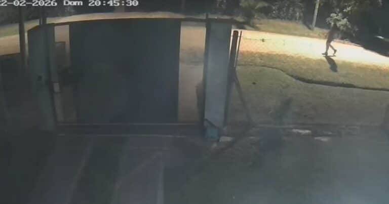 La emboscó en la calle y la apuñaló hasta matarla: una cámara registró los desgarradores gritos de la víctima en Ezeiza