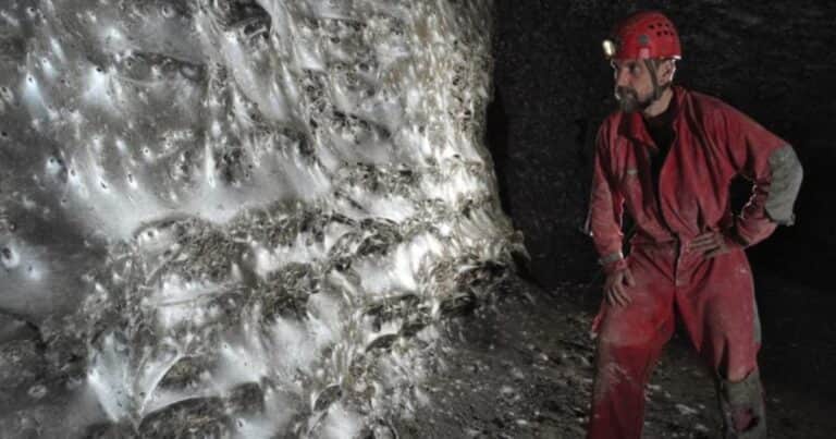 Descubren una telaraña gigante en la cueva Sulfur: así sobreviven estas arañas extremas