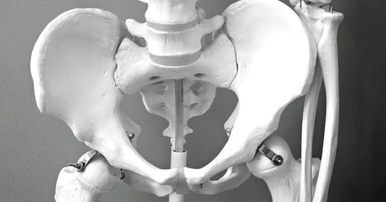 “Las fracturas de cadera pueden desencadenar un proceso declive difícil de revertir”: por qué esta lesión puede ser letal, según los expertos