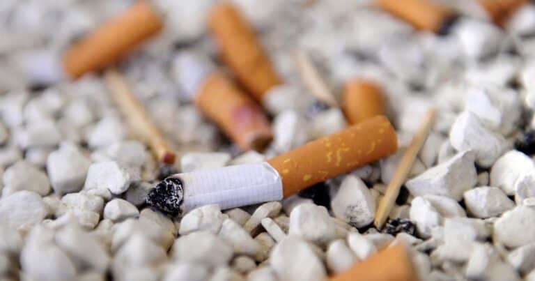Un estudio demuestra que las colillas de cigarrillo dominan la basura mundial: «Son pequeñas bombas químicas que luego regresan en la cadena alimentaria de los humanos»