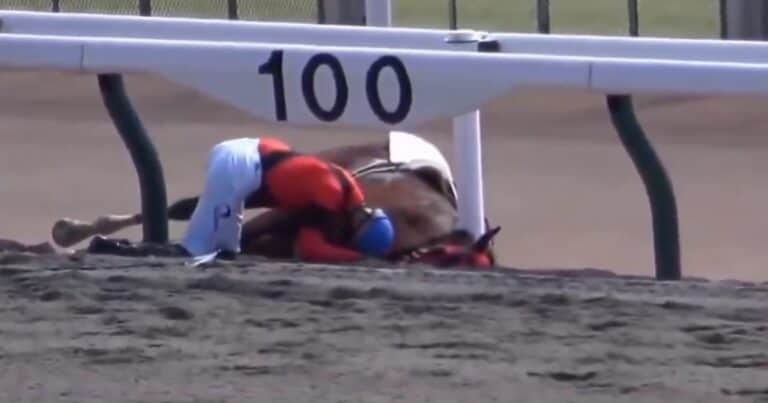 El conmovedor momento en un hipódromo entre un jinete y su caballo agotado