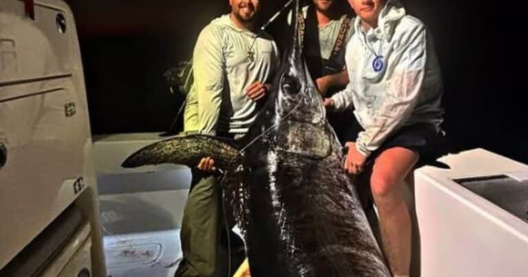 Capturaron un pez espada de más de 200 kilos en las costas de Florida: «Luchamos durante cinco horas»