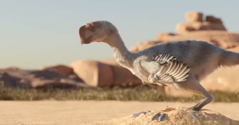 Un estudio revela que los dinosaurios incubaban sus huevos de manera muy distinta a la de las aves modernas