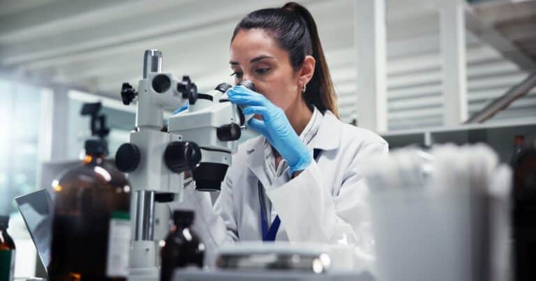 Desconcierta a los científicos: el extraño molusco que sobrevivió casi intacto durante 300 millones de años