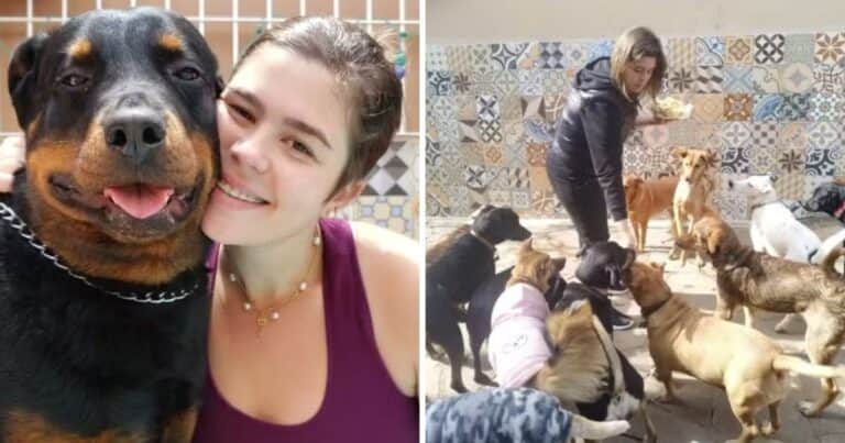 Los perros de Alice Moraes, el recuerdo de la joven estudiante de veterinaria que falleció dramáticamente en un concierto