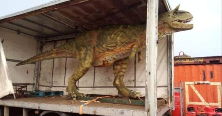 Compró un dinosaurio de plástico para su hijo y le enviaron uno de 6 metros de largo