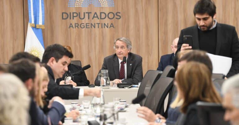 Ley de Glaciares: la polémica por las audiencias públicas y la cantidad de inscriptos escala hasta la Justicia