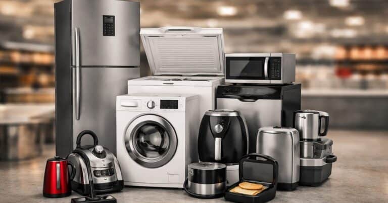 Heladeras, freezers y lavarropas a mitad de precio y en cuotas: cómo acceder a la «gran barata» de electrodomésticos