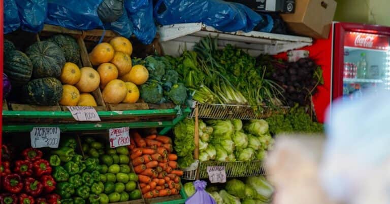 Canasta básica: una familia necesitó más de 1.397.672 pesos en febrero para no ser pobre, según el INDEC