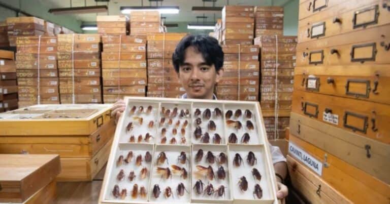 El «Señor de las Cucarachas», el científico que vive rodeado de estos insectos
