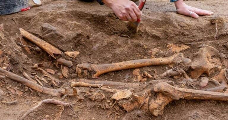 Hallazgo arqueológico en Roma: descubren tumbas de casi 2.000 años en una antigua necrópolis