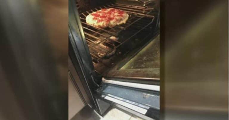 Cocinaban una pizza y sin darse cuenta también cocinaron una serpiente