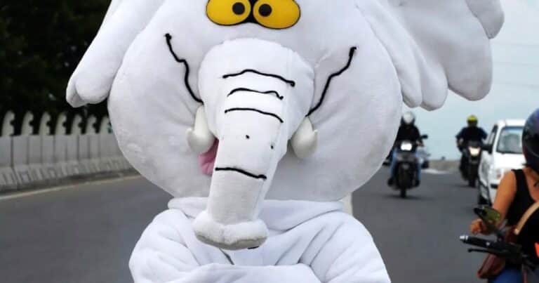 Se disfrazó durante años de «elefante blanco», nadie conocía su cara y ganó una banca en el Senado