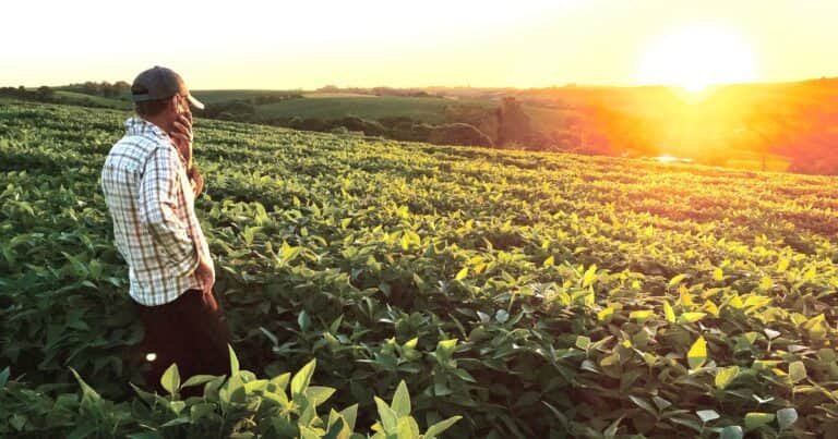 El agro brasileño depende totalmente de los fertilizantes del exterior