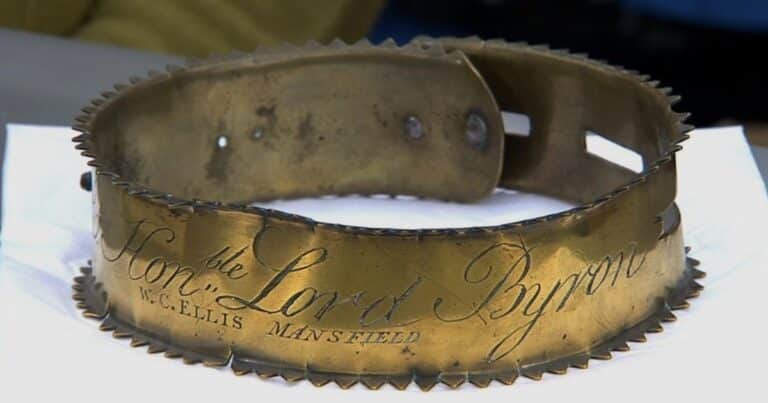 Quieren vender por una fortuna un collar de perro abollado de un famoso personaje