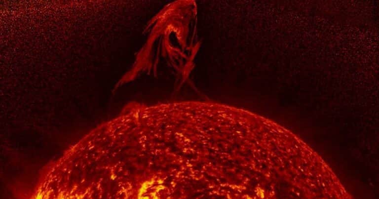 Filmaron una llamarada en el Sol que alcanzó una altura de 1.000.000 de kilómetros