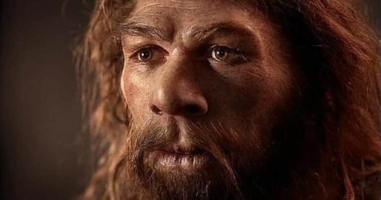 Descubren qué usaban como antibiótico los neandertales hace 40.000 años