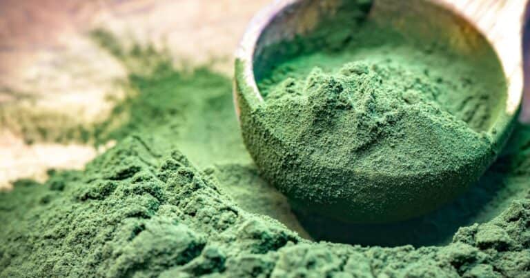 Lo que la espirulina puede hacer en tu cerebro, según estudios recientes
