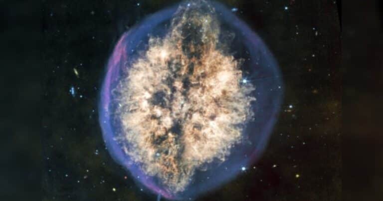 Captaron una nebulosa que parece un cerebro gigante flotando en el espacio