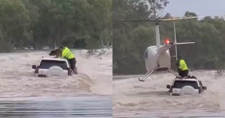 En medio de las inundaciones, un policía arriesgó su vida para rescatar a un perro atrapado en un auto