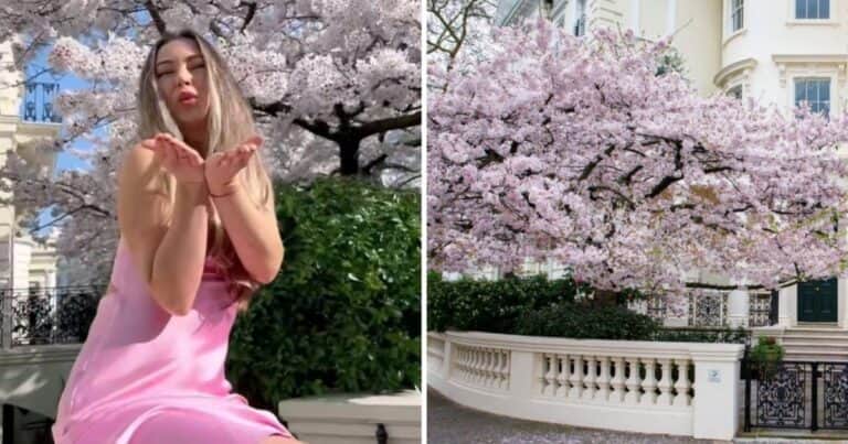 Cada año, una multitud de influencers se saca fotos en un exclusivo barrio: los propietarios contrataron personal de seguridad para evitarlo