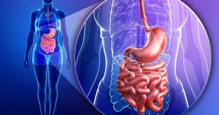 Hábitos comprobados por la ciencia para mejorar tu digestión y tener regularidad diaria