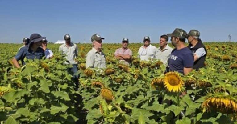 Talentos para el agro: qué buscan las empresas y qué esperan los jóvenes