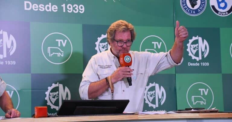 En Expoagro se hizo el remate de hacienda más grande del mundo: más de 38.000 cabezas en un solo día