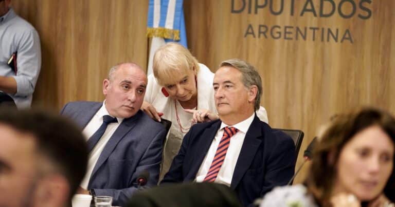 Ley de Glaciares: aseguran que se anotaron casi 8.000 personas para las audiencias públicas y se complican los planes del Gobierno
