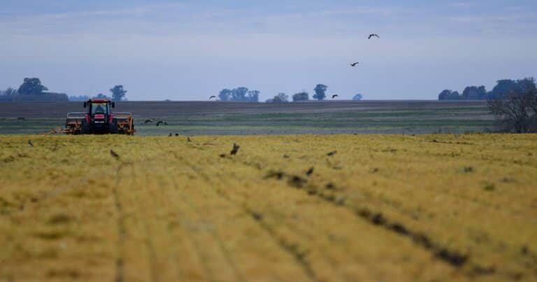 La guerra y los costos del agro vuelven a poner el foco en las retenciones