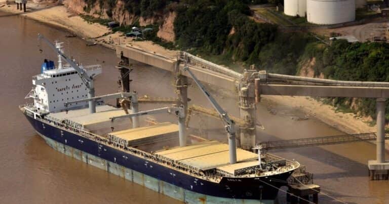 Hito: anuncian la primera exportación en la historia de maíz argentino a China
