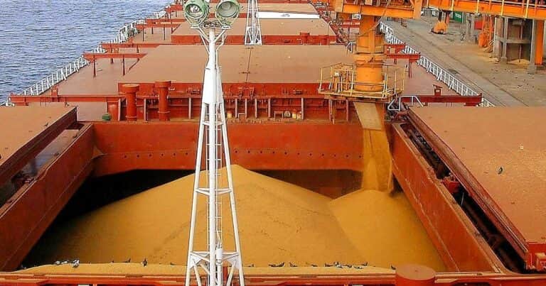Vuelan las exportaciones de un cereal que tiene 111 mercados abiertos y acaba de llegar por primera vez a China