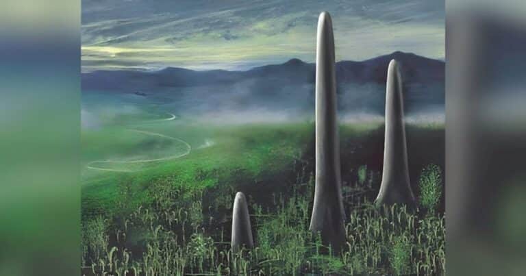 Ni animales ni plantas: científicos descubren que una especie distinta habitó la Tierra