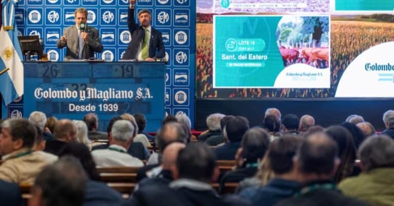 Vuelve el Gran Remate de hacienda del Banco Nación: fuerte oferta y expectativas positivas