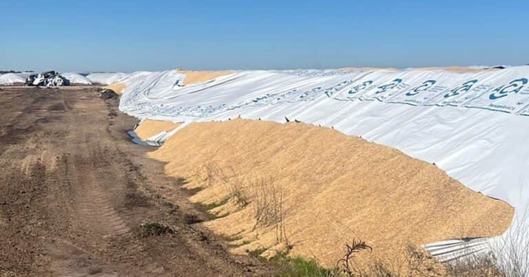 Volvió el vandalismo rural: en Bahía Blanca rompieron 5 silobolsas con mercadería por $300 millones