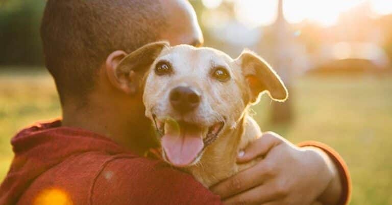 Qué significa despedirse de tu mascota antes de salir de casa: los rasgos que destacan los psicólogos