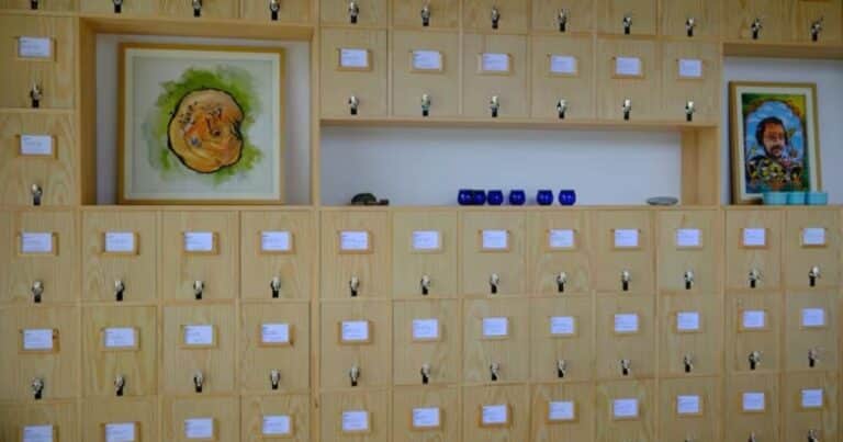 Inauguraron la primera «biblioteca» en el mundo del aceite de oliva