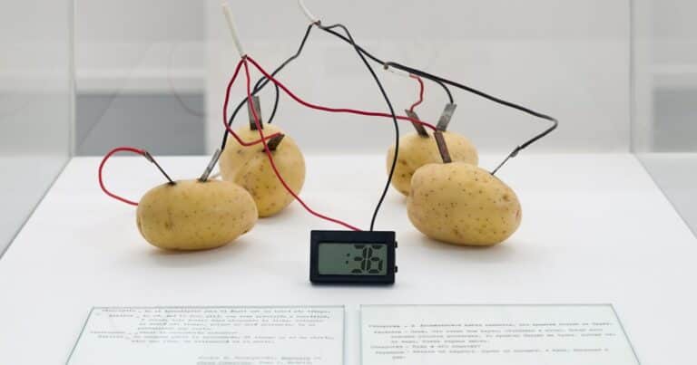 Papas, cables y arte: una muestra en FAN revisita el legado de Víctor Grippo en Buenos Aires