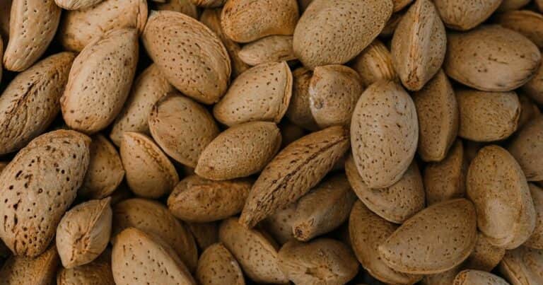 Aurelio Rojas, cardiólogo, sobre el magnesio: «Ayuda a ganar músculo y mejorar el rendimiento físico»