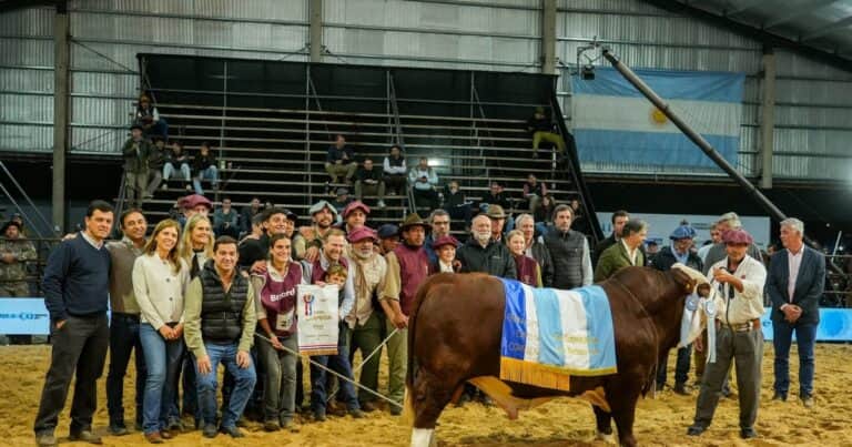 Las Nacionales de Corrientes: las cabañas San Vicente, Marta Carina y El Amargo se llevaron los premios más importantes