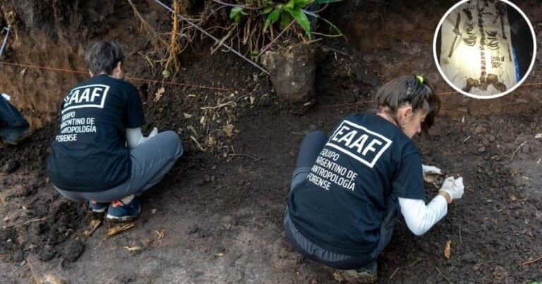 Misterio en Coghlan: revisan con un georradar el jardín donde apareció el cuerpo de Diego Fernández Lima