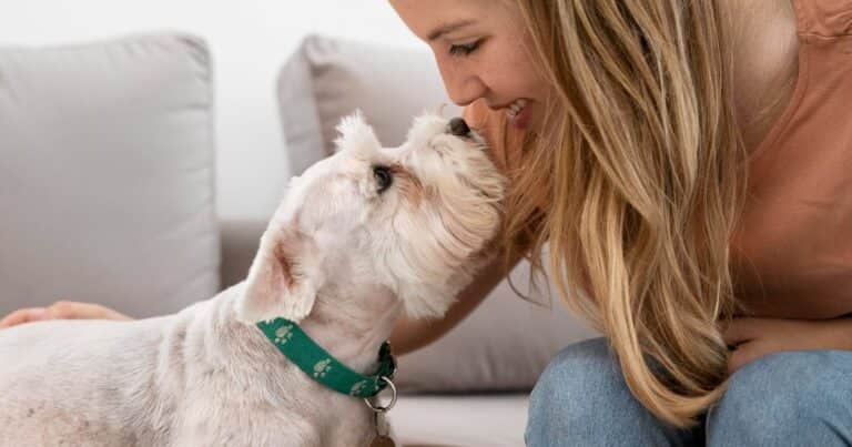 ¿Le hablás a tu perro?: así es tu personalidad según expertos
