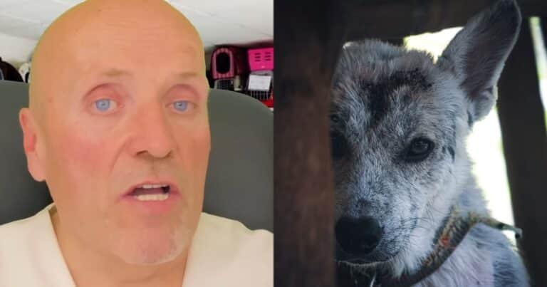 Manuel Manzano, veterinario, sobre qué hacer para que tu perro no te extrañe: «Si practicas esto, la sensación de tristeza se va a mitigar»