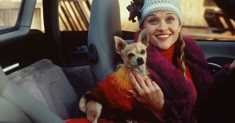 Reese Witherspoon, la rubia de los 400 millones de dólares