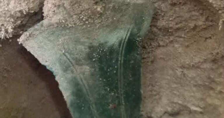 Un hombre encontró en un bosque una espada de más de 2700 años de antigüedad: «Me costó un rato asimilarlo y pensar con calma»