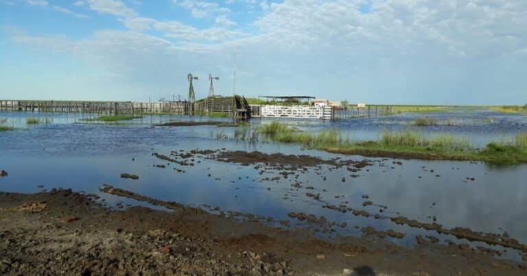 El Gobierno dictó la emergencia agropecuaria para varios distritos de la provincia de Santa Fe
