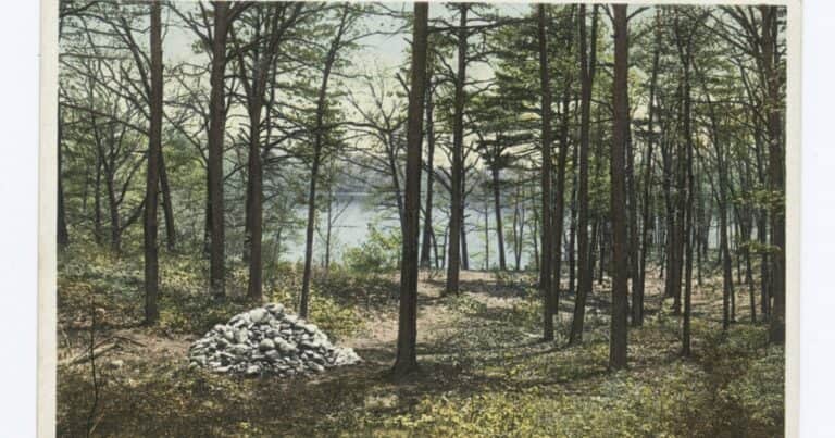 Henry David Thoreau, sobre llevar un vida simple y rodeada de naturaleza: «Fui a los bosques porque quería vivir deliberadamente»