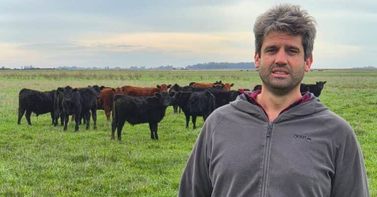 Negocio premium: los secretos de una empresa familiar que produce más de 1.000 novillos pesados por año para exportar carne a la Unión Europea