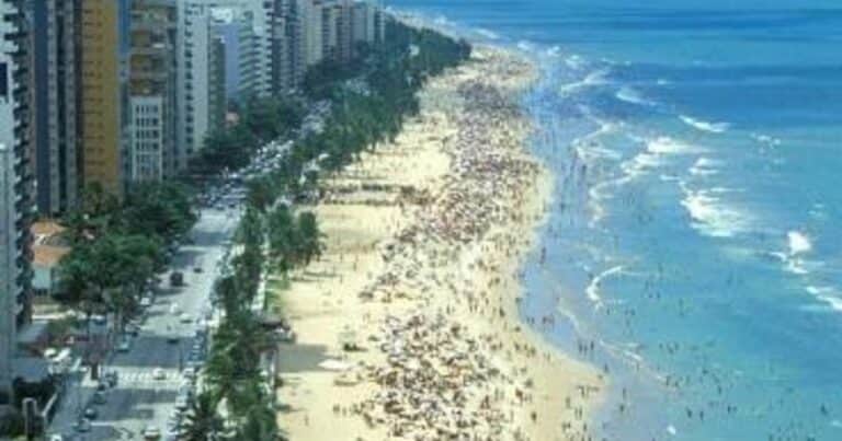 Doble ataque de tiburón en playas de Brasil: un niño de 11 años perdió la pierna y un día después una adolescente de 19 años fue mordida mientras nadaba