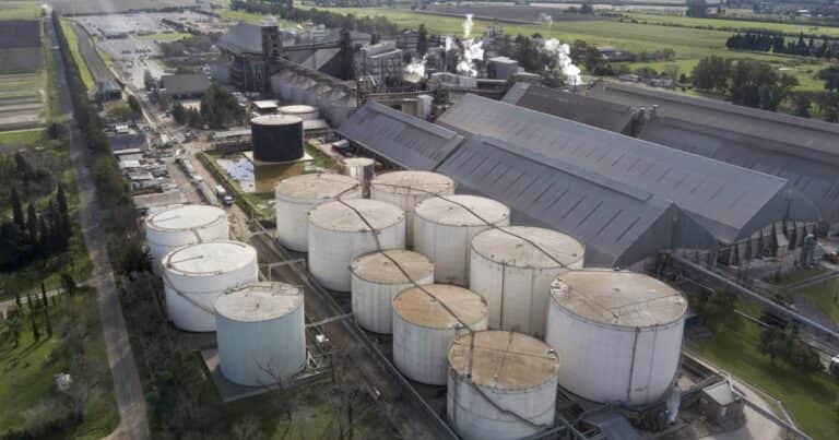«Parece que los viajes sirven…»: una multinacional invertirá US$ 400 millones para construir una de las mayores plantas de molienda del mundo en Argentina